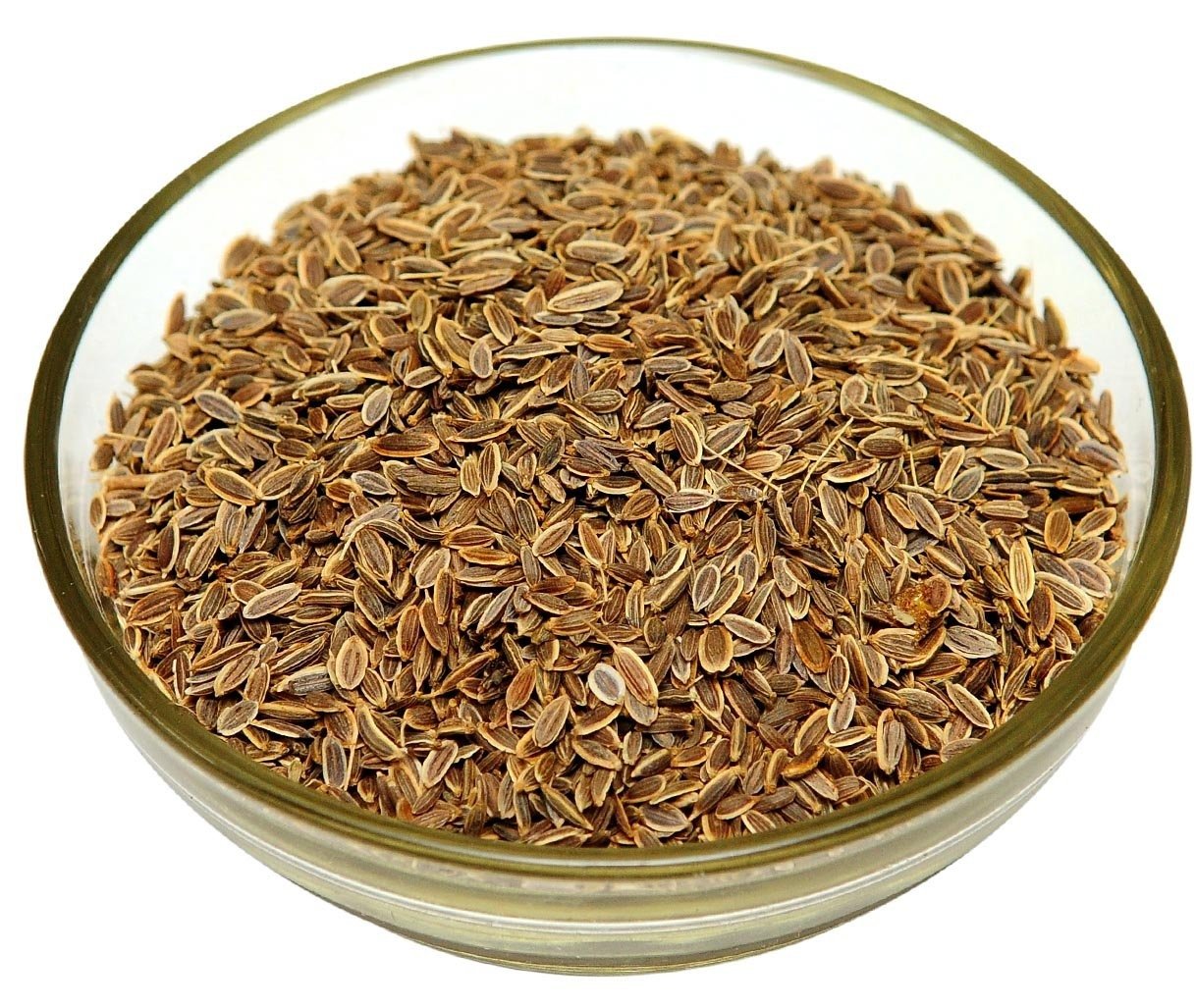dill seeds